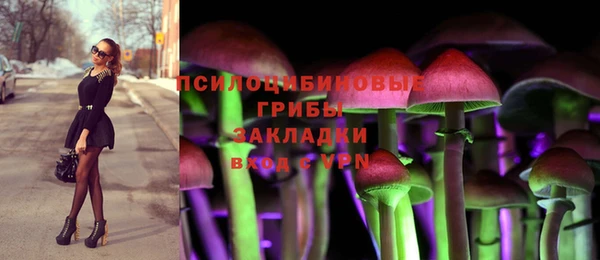 МДМА Белокуриха