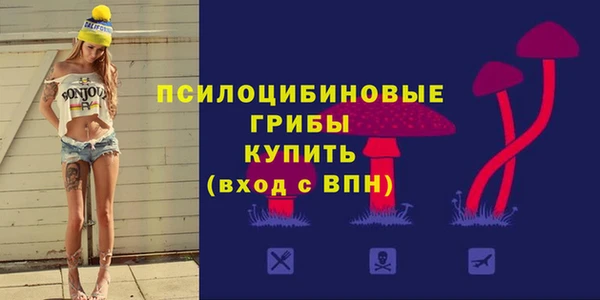 меф Богородицк