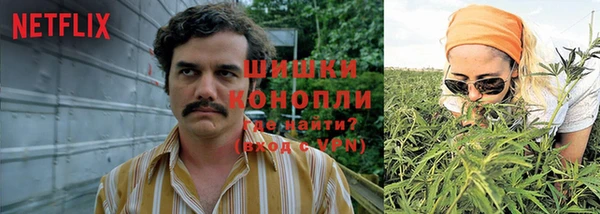 тгк Богданович