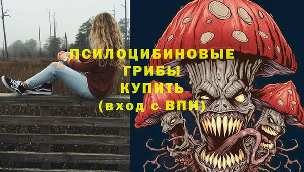 меф Богородицк